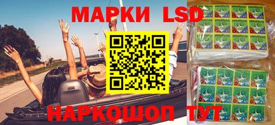 ECSTASY Новодвинск
