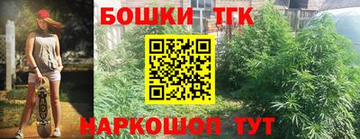 мет Новозыбков