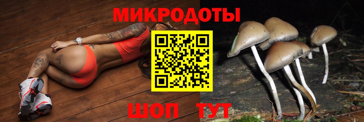 цены наркотик  Псилоцибиновые грибы прущие грибы  Вход с VPN  Галлюциногенные грибы Magic Shrooms  Томск 